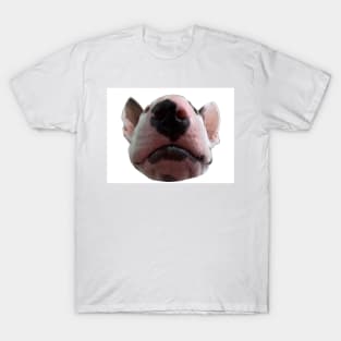 Hey Arnold, the Bull Terrier T-Shirt